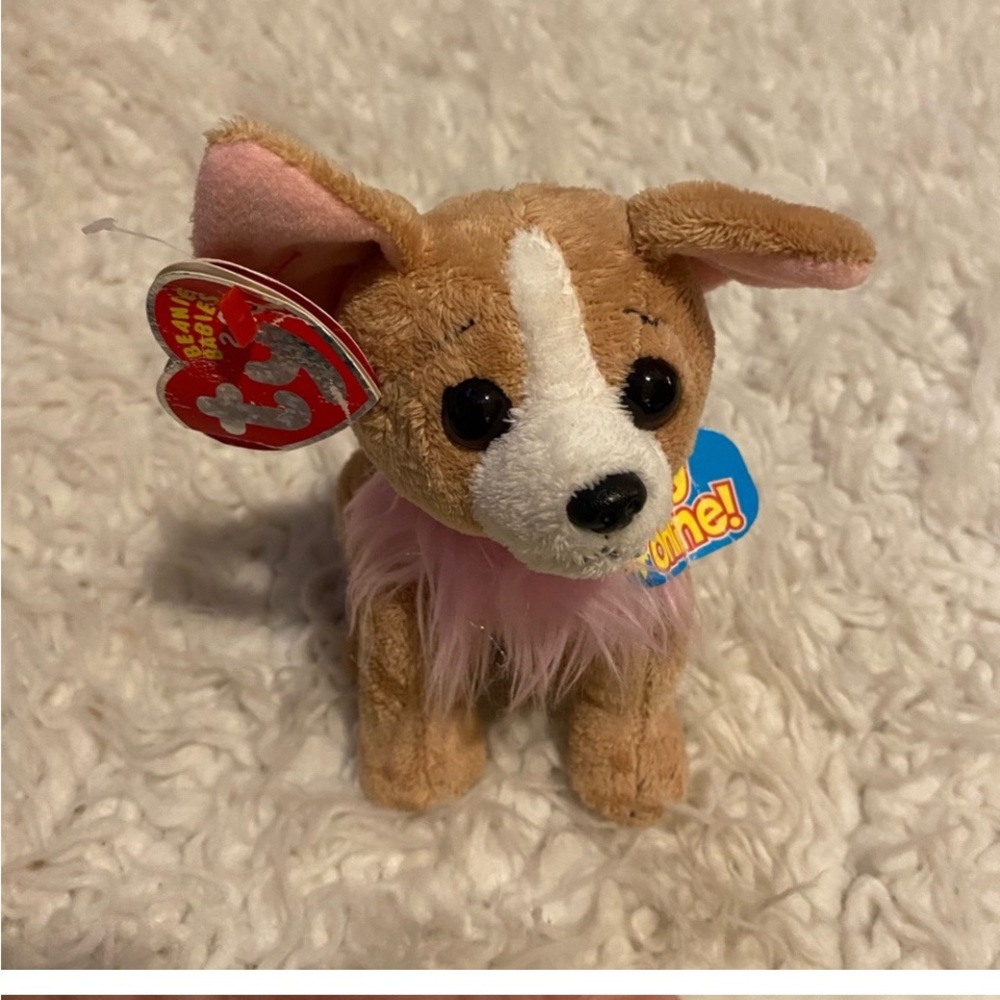 Ty Beanie Babies 2.0, "Pico" Chihuahu, 2007 rough tags